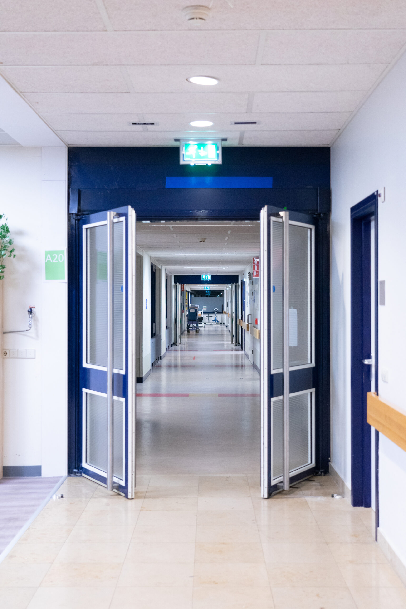Corridor of a hospital. Interior of a hospital